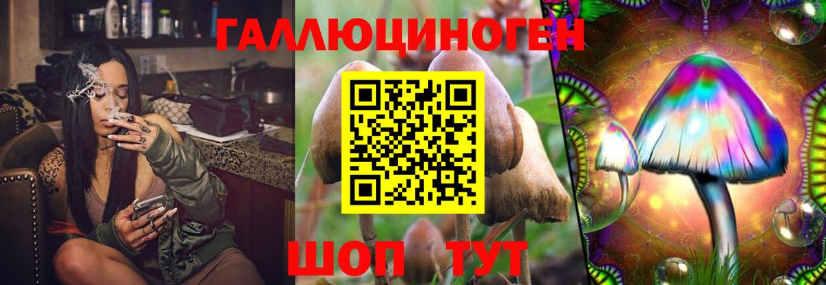 Калач-на-Дону  Галлюциногенные грибы MAGIC MUSHROOMS  хочу наркоту  Вход с VPN 